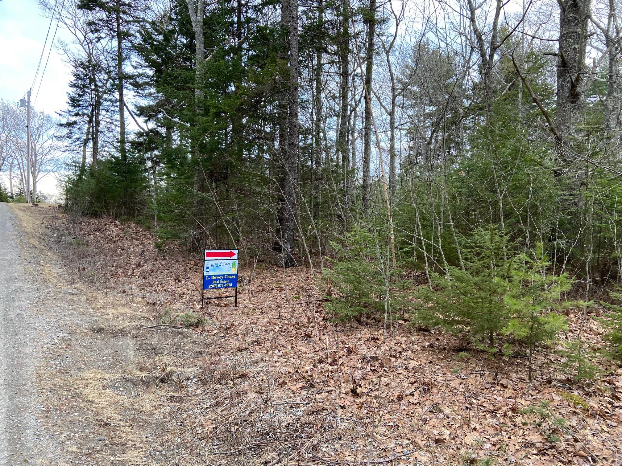 0 Russell Road Chamberlain, ME 04541 - Photo 3 of 4 IMG_4769