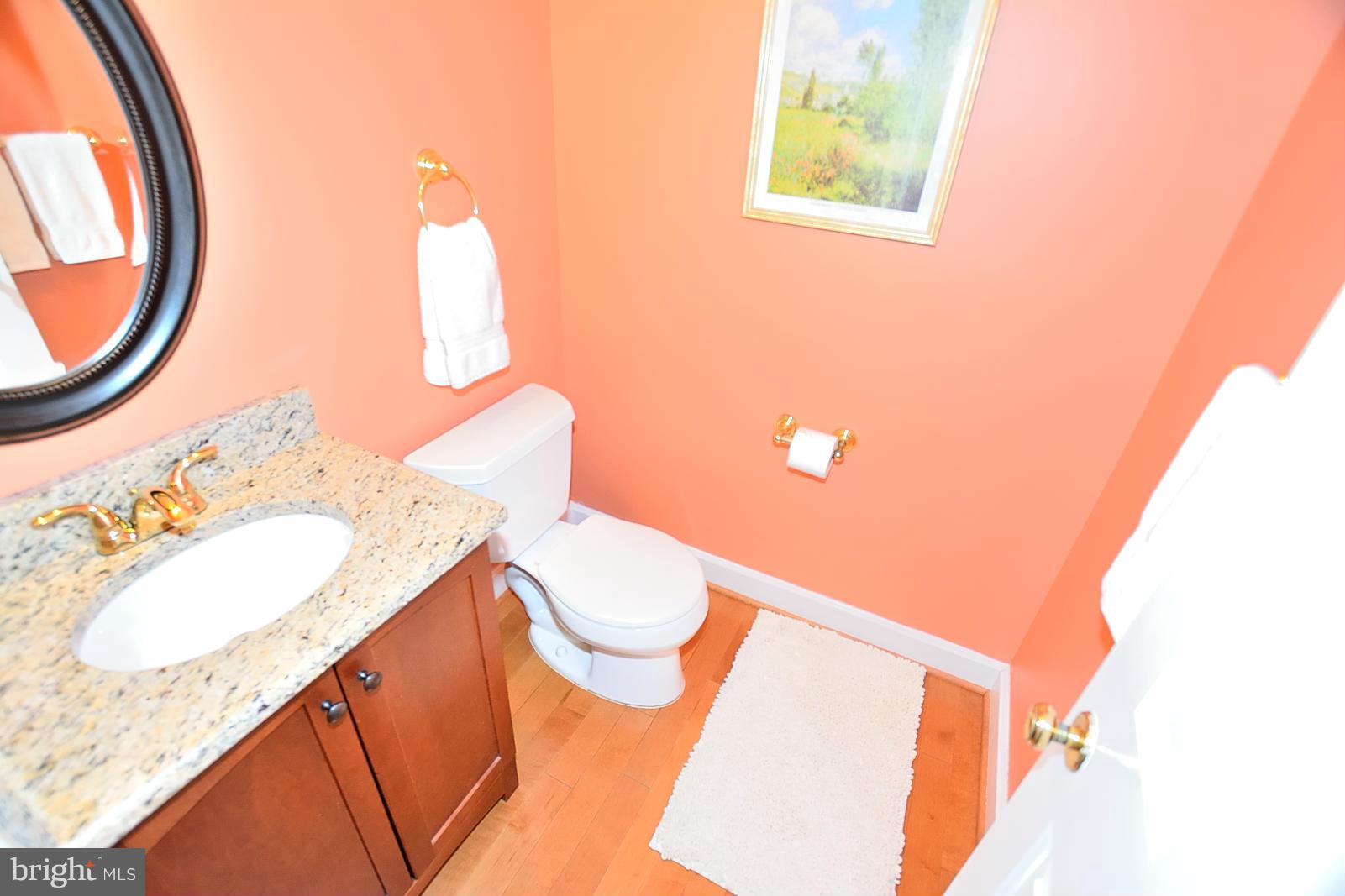 2805 Rifle Ridge Road Oakton, VA 22124 - Photo 9 of 30 a bathroom with a sink and a mirror