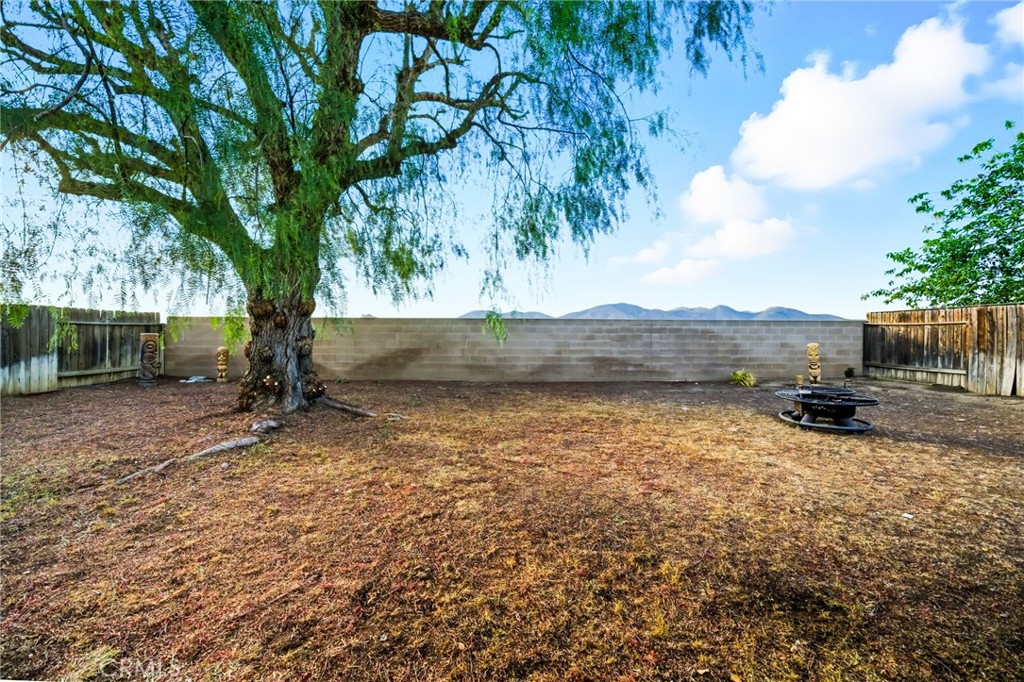29787-29787 Berea Road Menifee, CA 92584 - Photo 42 of 45 a view of a backyard with wooden fence and a large tree