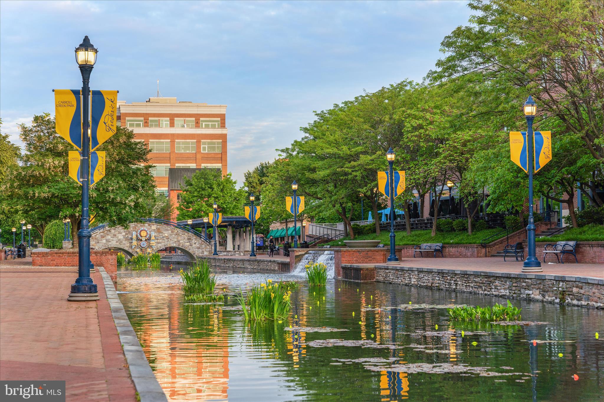 205 East 4th Street Frederick, MD 21701 - Photo 37 of 38 a front view of a building with garden and trees