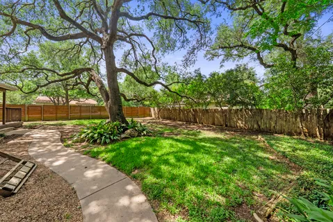 a view of backyard with potted plants and a large tree