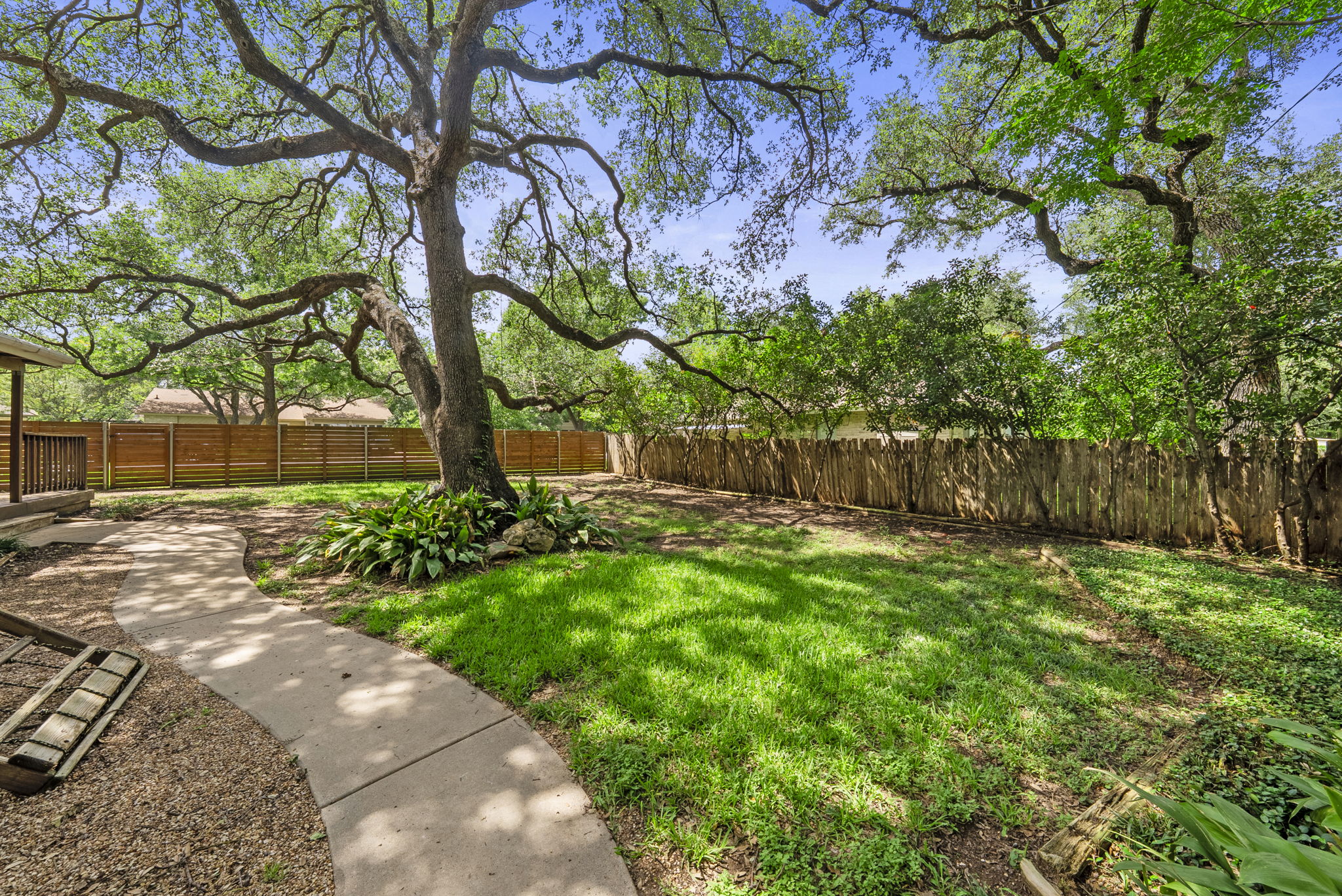 11405 Pyreneese Drive Austin, TX 78759 - Photo 29 of 37 a view of backyard with potted plants and a large tree