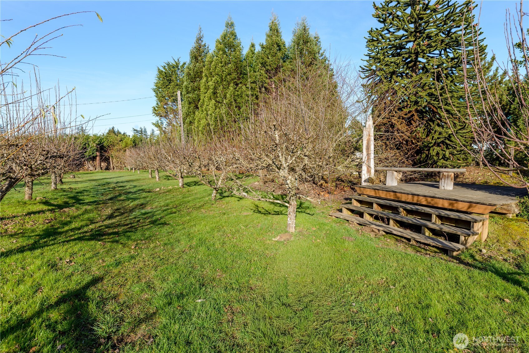 51 Gunn Road Port Angeles, WA 98362 - Photo 38 of 40 Gallery Image 38