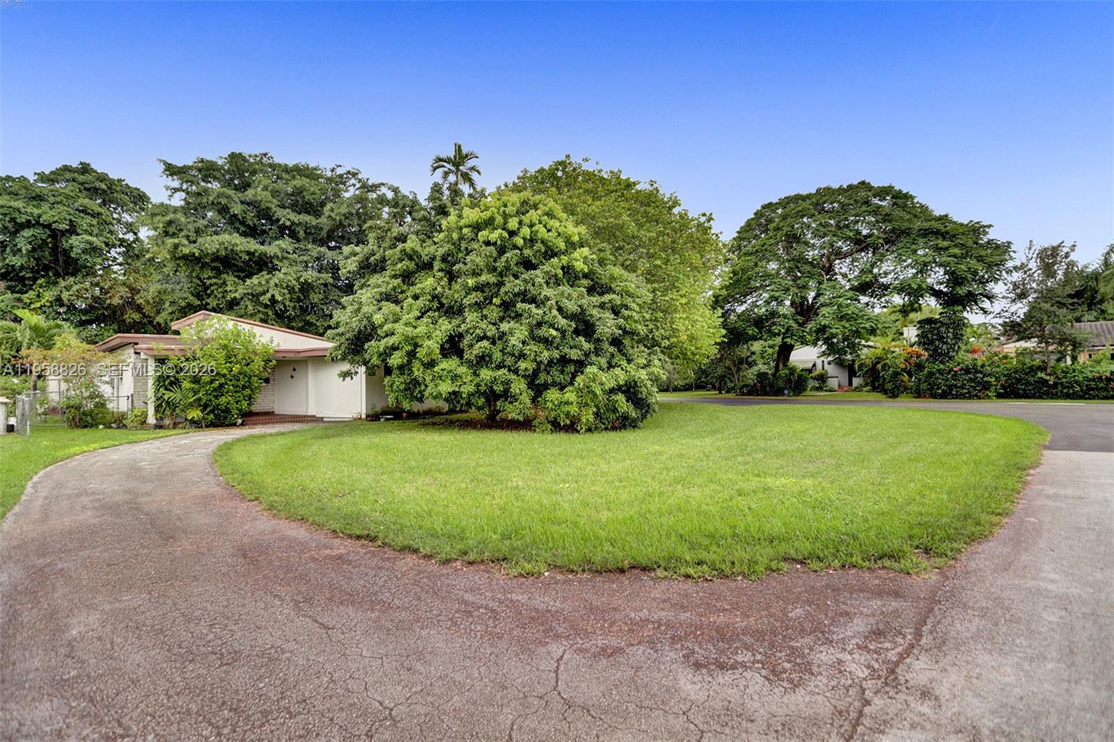a view of a garden with large trees