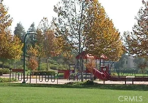 a view of a tree in a yard with plants and a bench