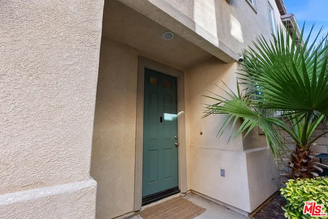 a potted plant in front of a door