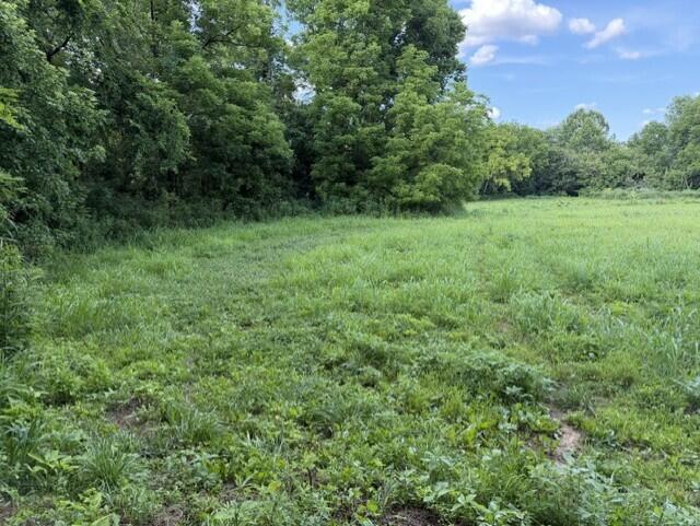 113 Lee's Creek Road Dover, KY 41034 - Photo 3 of 30 15