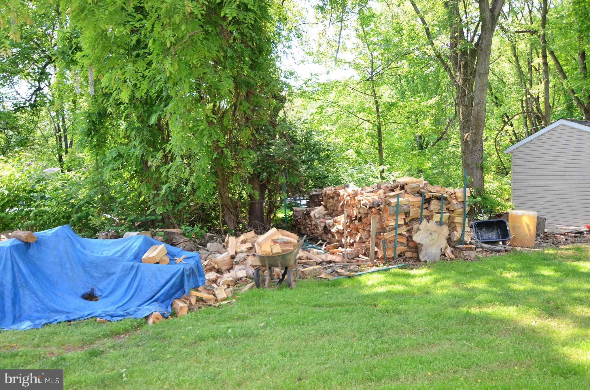 820 Petem Road Kingsville, MD 21087 - Photo 4 of 30 a view of a backyard with wooden fence and a large tree