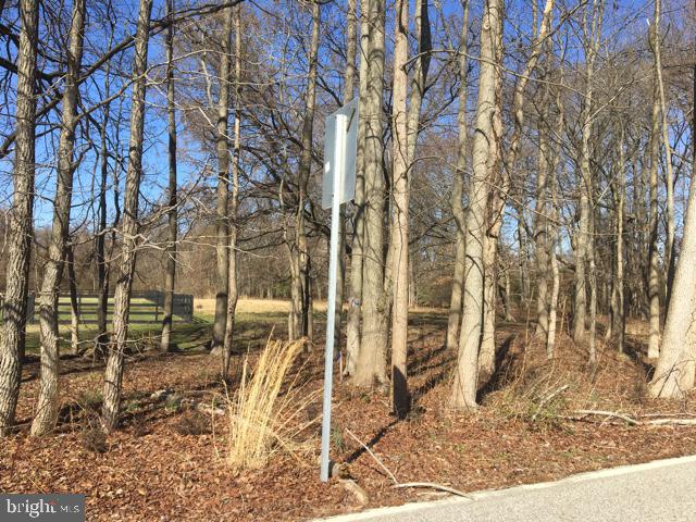 Ferry Point Road Annapolis, MD 21403 - Photo 12 of 15 Gallery Image 12