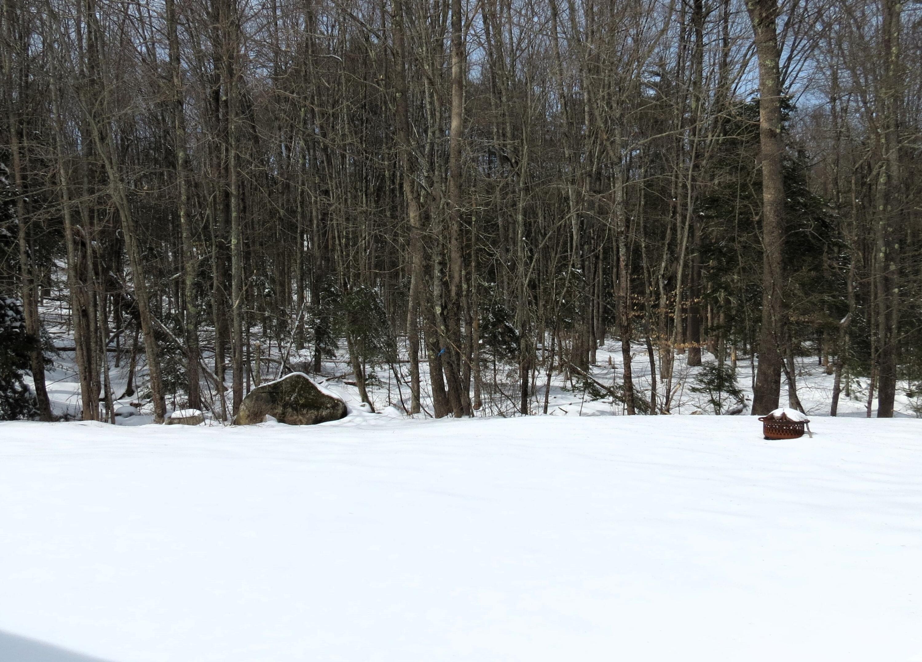 6 Haven Road Windham, ME 04062 - Photo 15 of 16 backyard 2