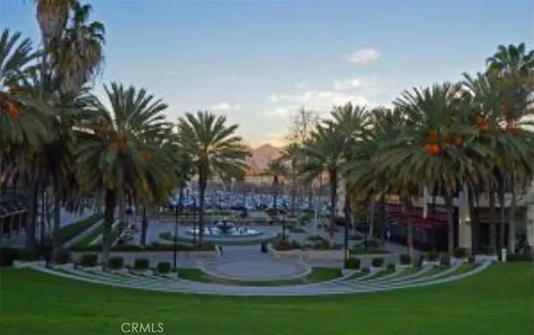 a garden view with palm trees