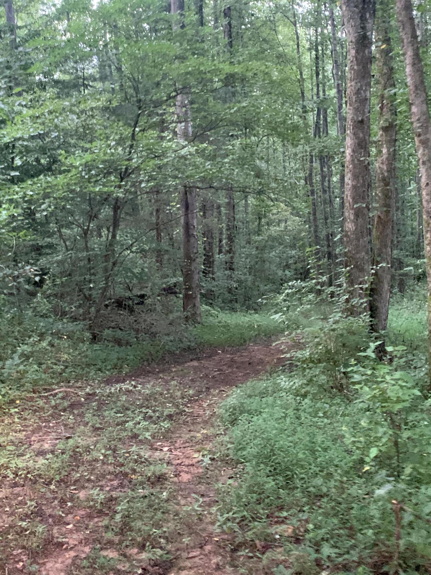 Lot 4 Keller Road, Unit 4 Afton, TN 37616 - Photo 11 of 14 Trails