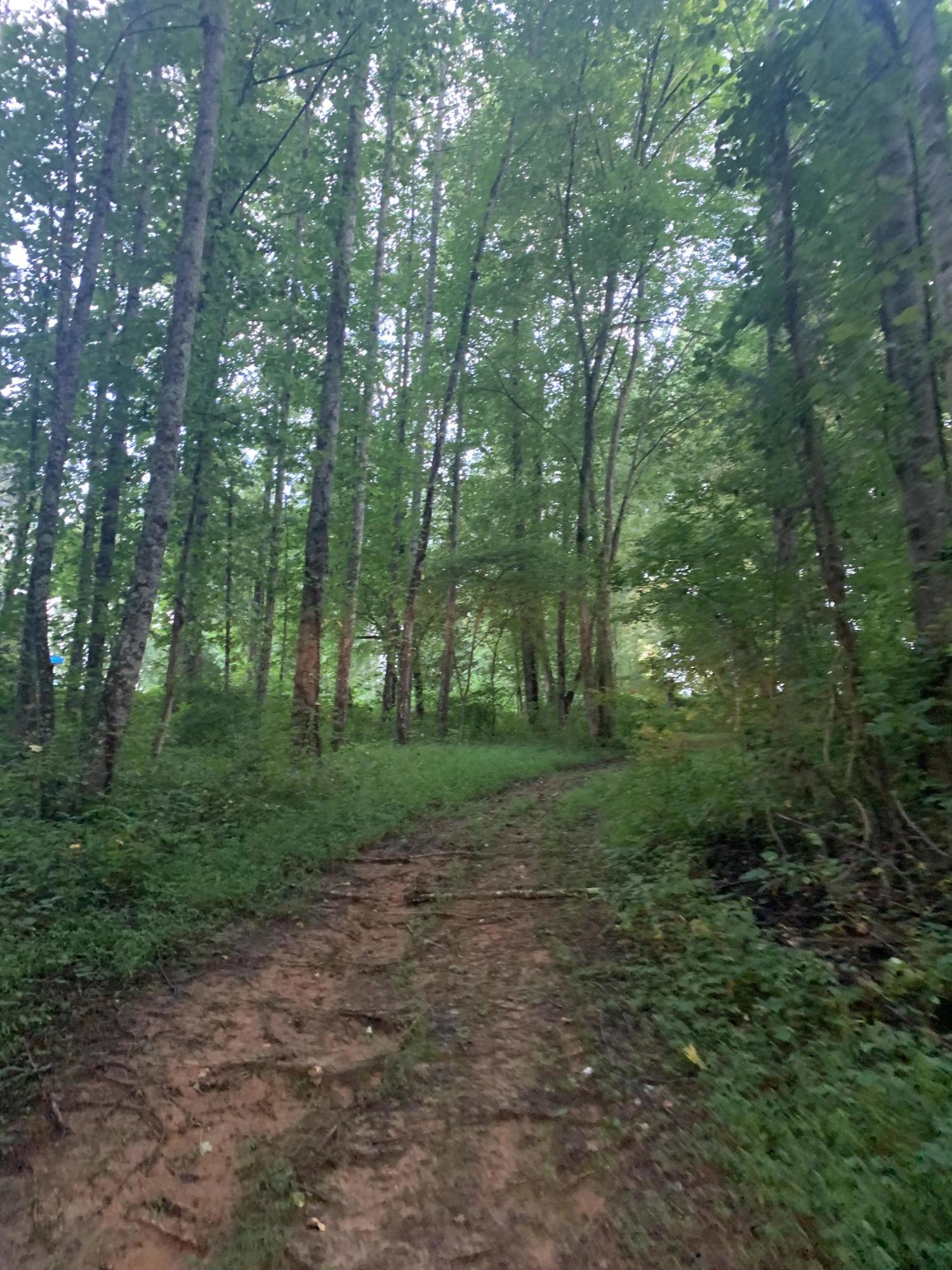 Lot 4 Keller Road, Unit 4 Afton, TN 37616 - Photo 12 of 14 Trails