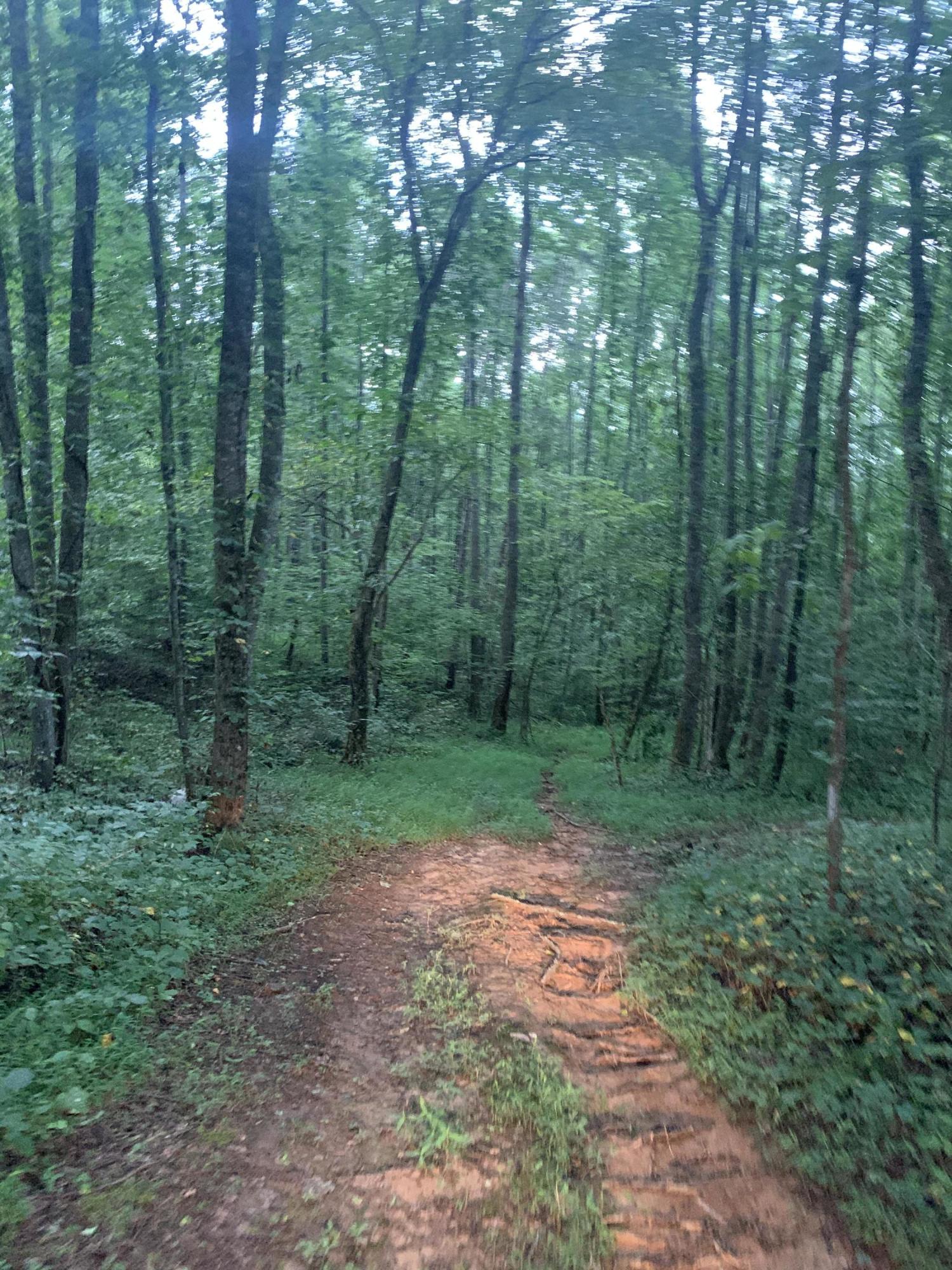 Lot 4 Keller Road, Unit 4 Afton, TN 37616 - Photo 2 of 14 Drive to build site