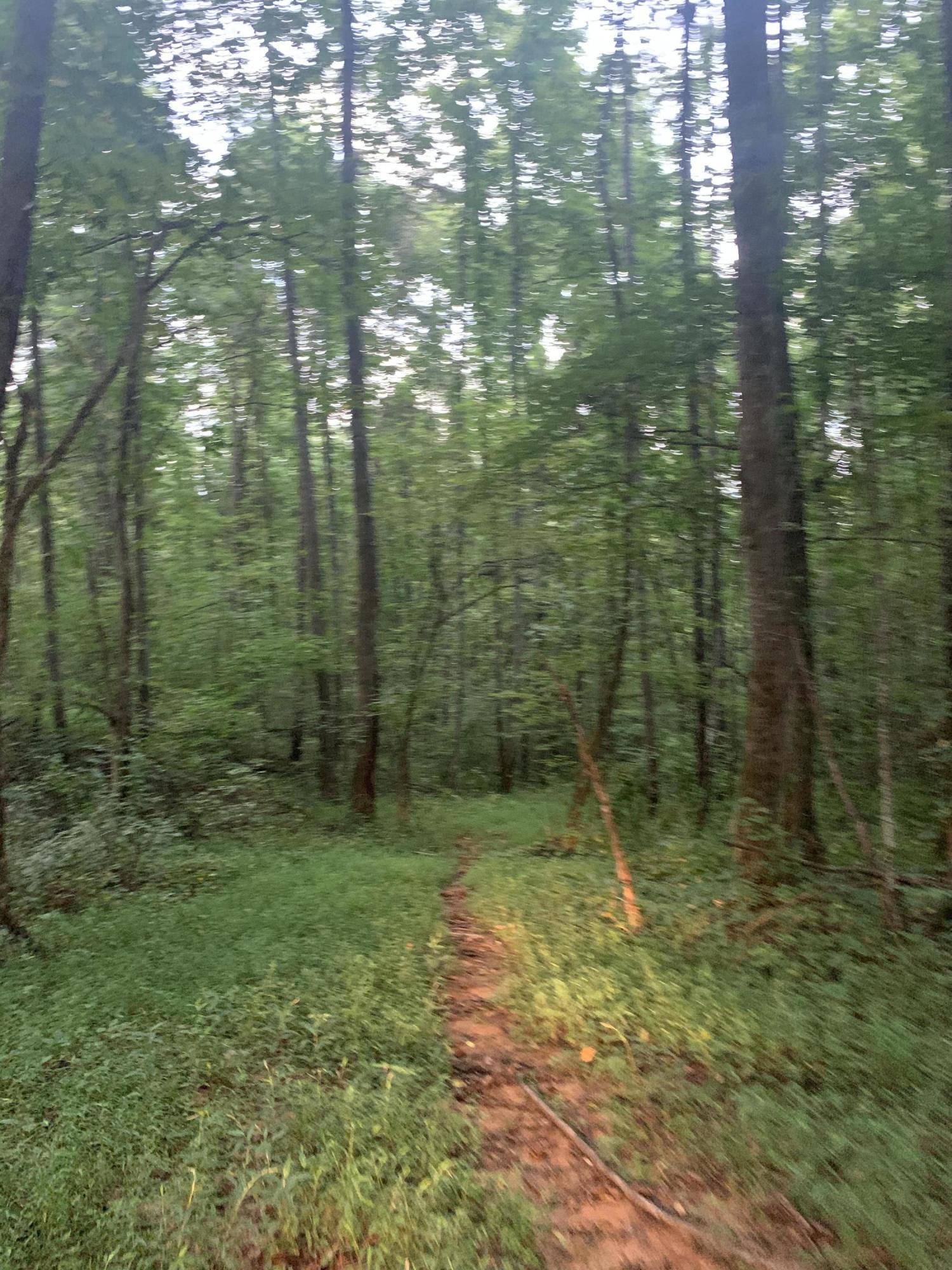 Lot 4 Keller Road, Unit 4 Afton, TN 37616 - Photo 6 of 14 Drive to build site