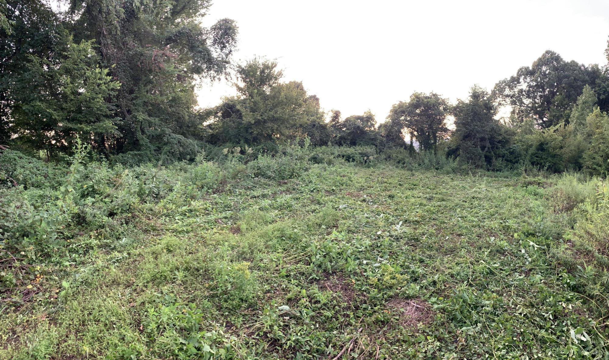 Lot 4 Keller Road, Unit 4 Afton, TN 37616 - Photo 7 of 14 Home site