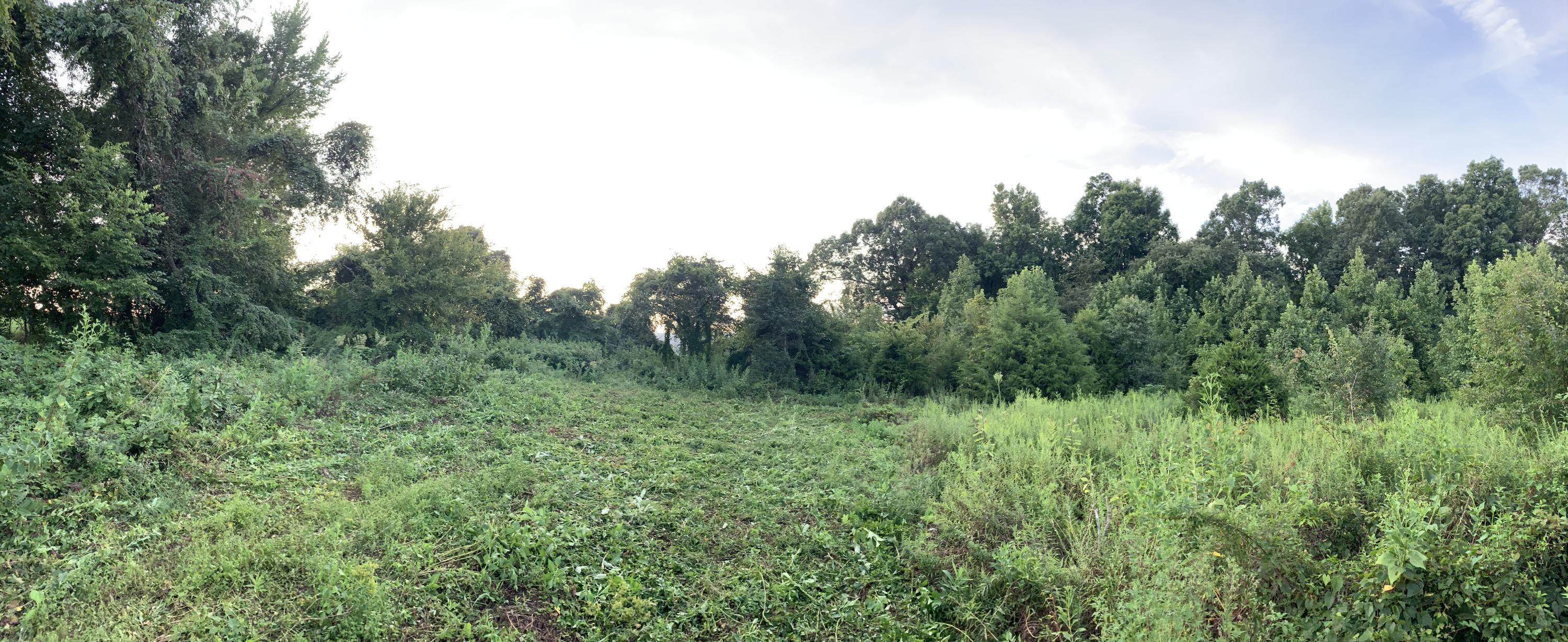 Lot 4 Keller Road, Unit 4 Afton, TN 37616 - Photo 8 of 14 Home site