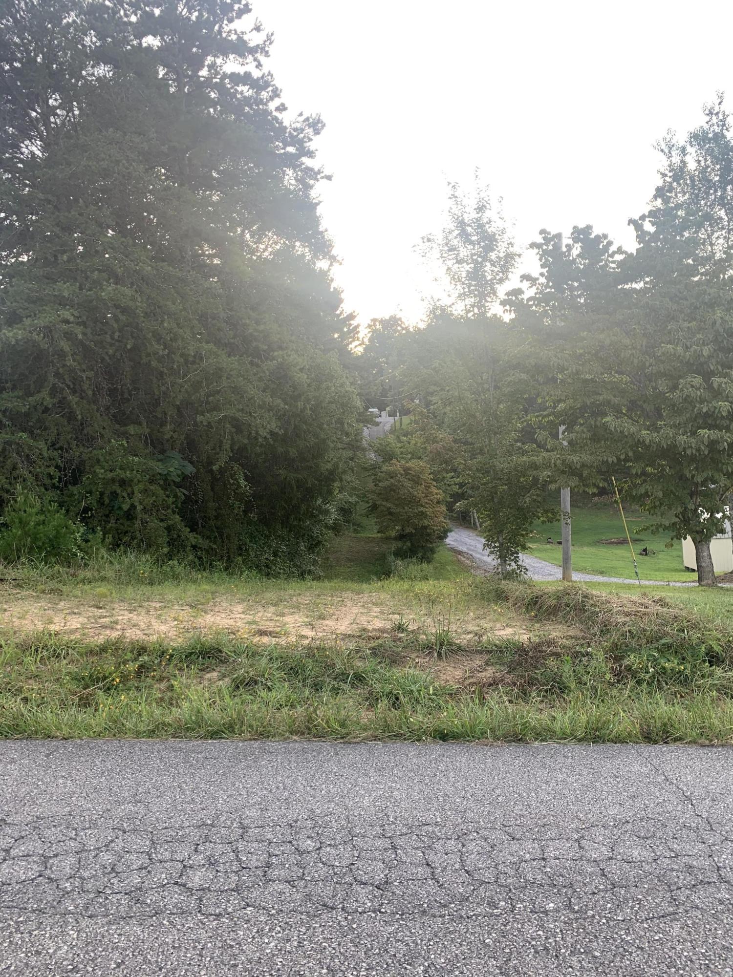 Lot 4 Keller Road, Unit 4 Afton, TN 37616 - Photo 10 of 14 From Road