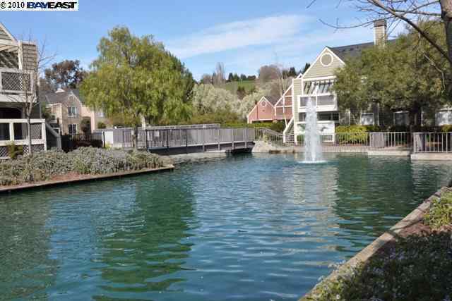 245 Reflections Drive, Unit 17 San Ramon, CA 94583 - Photo 1 of 1 a view of a lake with houses
