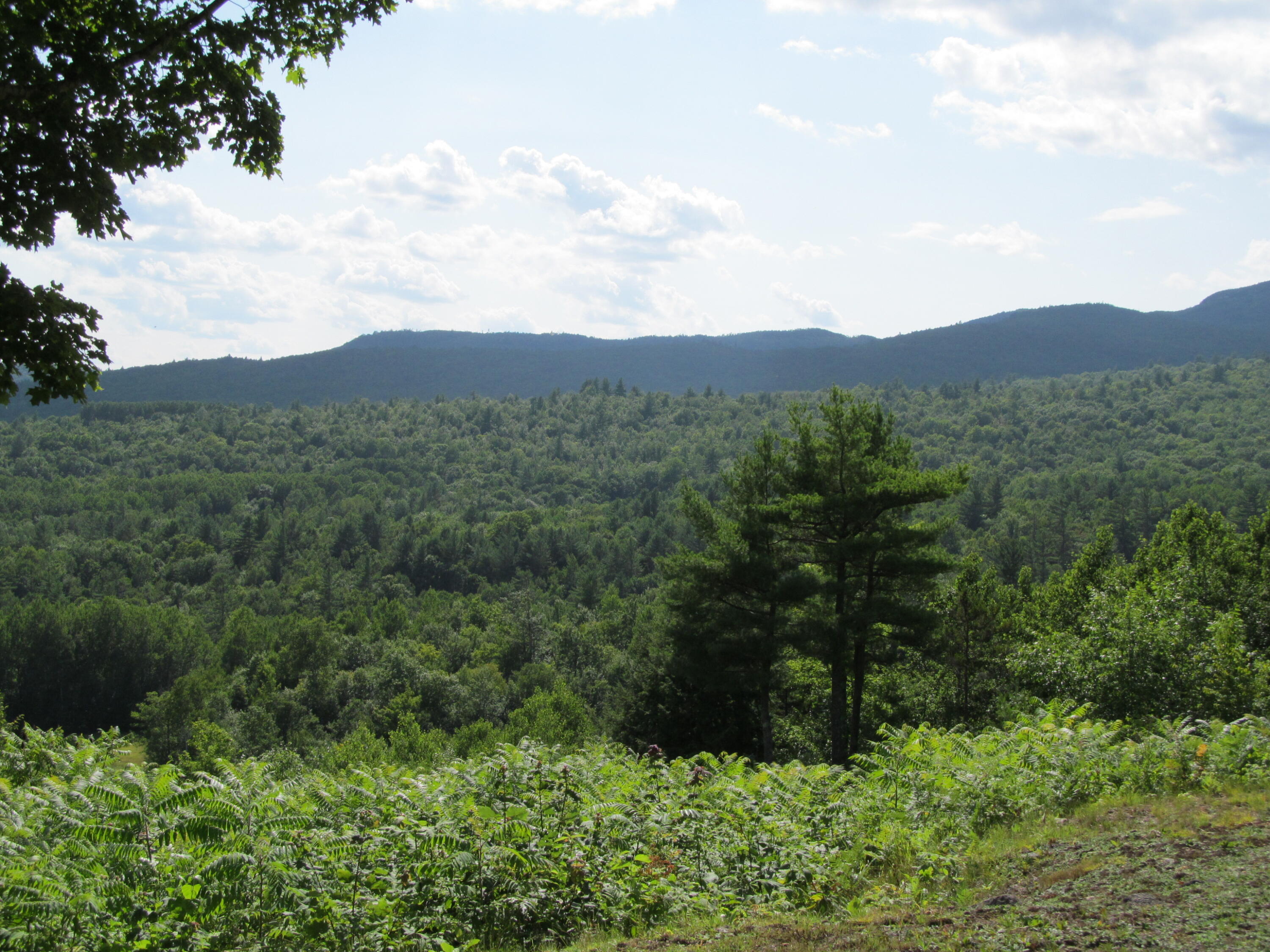1245 West Side Road Weld, ME 04285 - Photo 44 of 83 IMG_1408