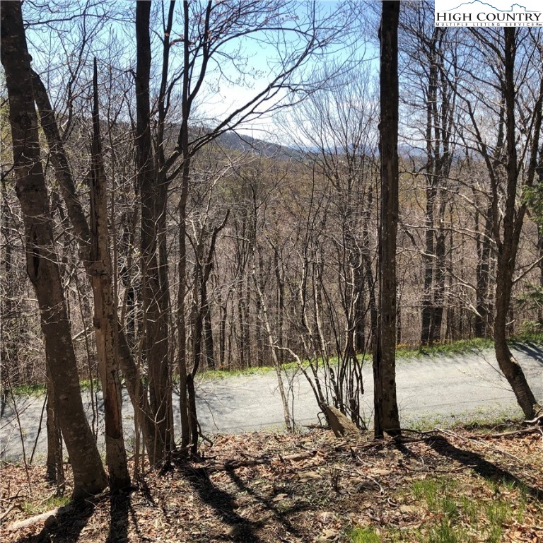 117 Hummingbird Road Beech Mountain, NC 28604 - Photo 1 of 4 Gallery Image 1