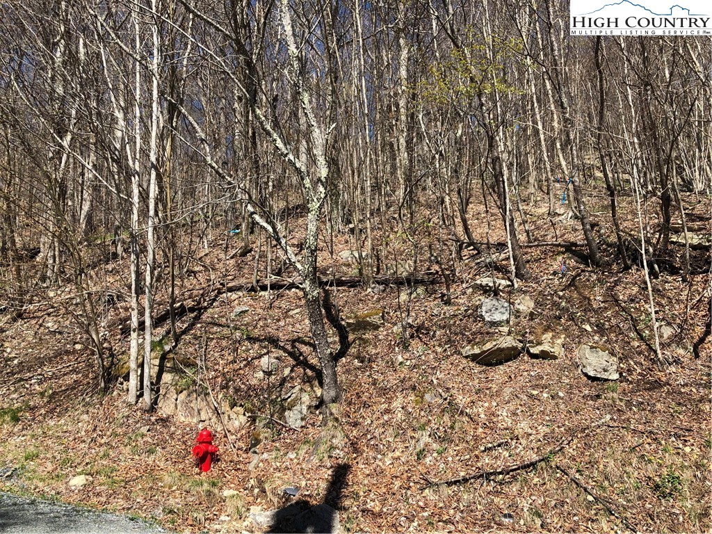 117 Hummingbird Road Beech Mountain, NC 28604 - Photo 3 of 4 Gallery Image 3