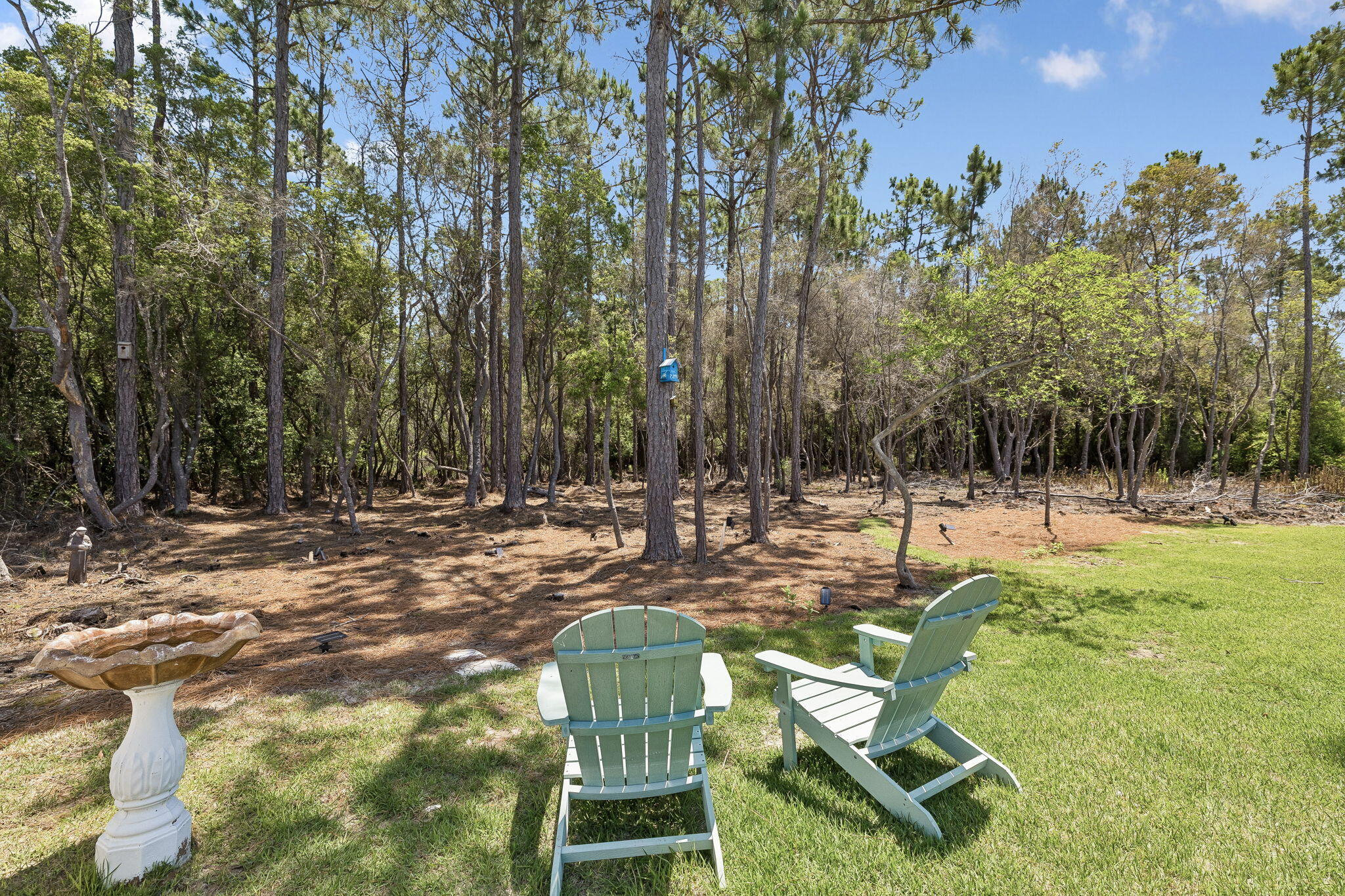 115 Log Landing St Inlet Beach Inlet Beach, FL 32461 - Photo 62 of 69 Rear Exterior