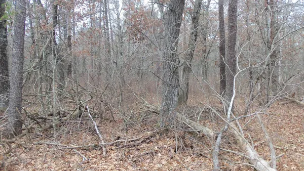 $99,000 | Lot 5 Cnute Creek Trail, Grantsburg, WI 54840