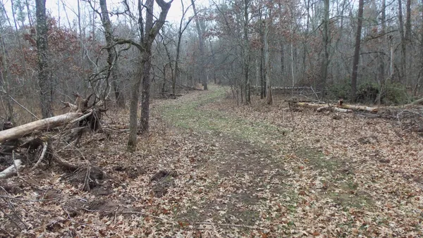 $99,000 | Lot 5 Cnute Creek Trail, Grantsburg, WI 54840
