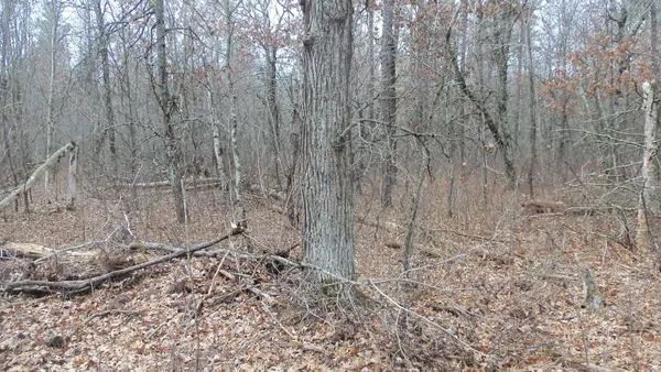 $99,000 | Lot 5 Cnute Creek Trail, Grantsburg, WI 54840