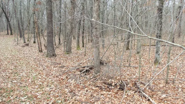 $99,000 | Lot 5 Cnute Creek Trail, Grantsburg, WI 54840
