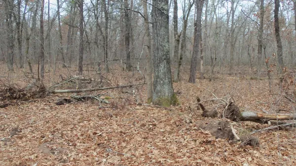 $99,000 | Lot 5 Cnute Creek Trail, Grantsburg, WI 54840