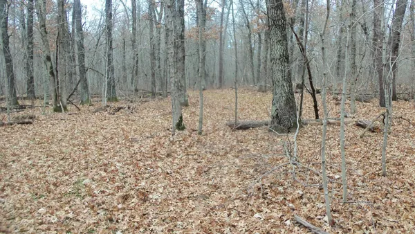 $99,000 | Lot 5 Cnute Creek Trail, Grantsburg, WI 54840