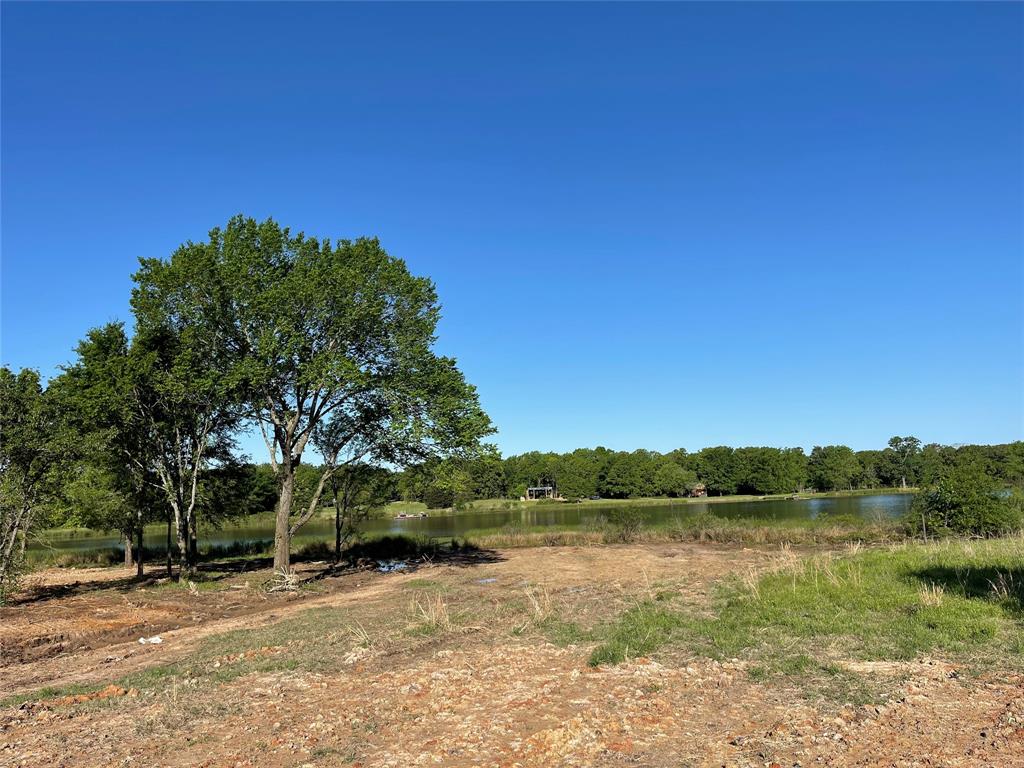 0 Rains County Road 3345 Emory, TX 75440 - Photo 2 of 18