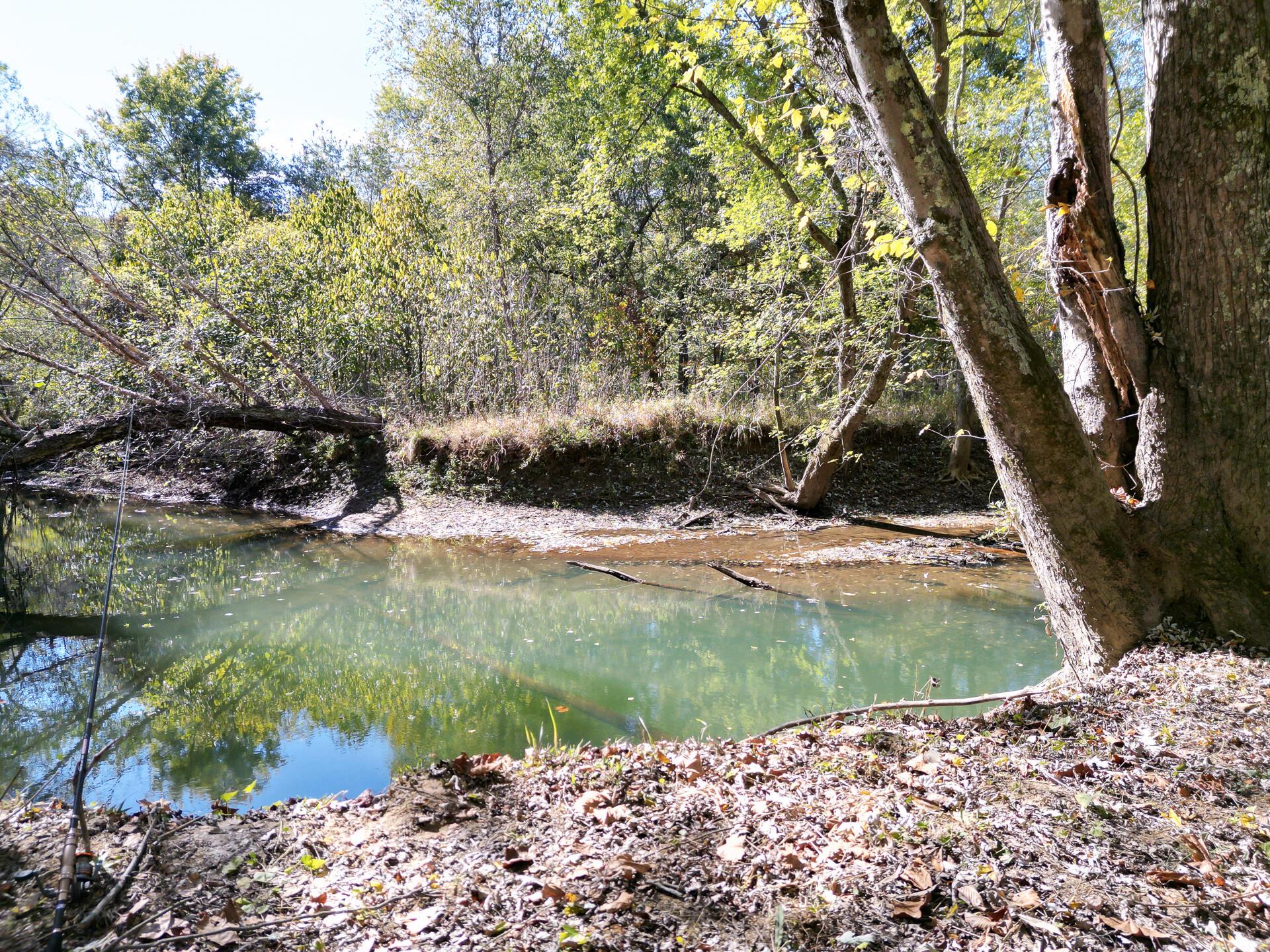 1462 Keystone Road, Unit RACCOON CREEK ADVENTURES) Vinton, OH 45686 - Photo 62 of 69
