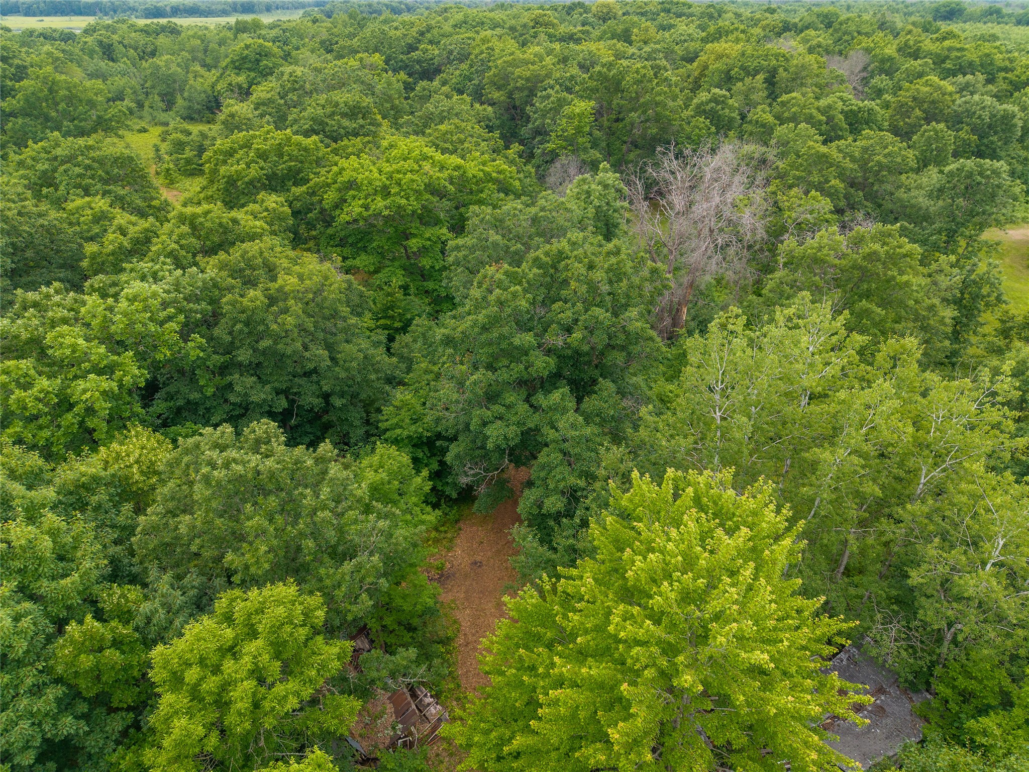 N1297 Cth Street Bruce, WI 54819 - Photo 18 of 43