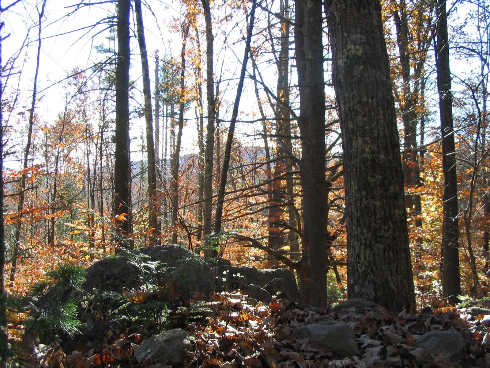 0 Miltimore Road Antrim, NH 03440 - Photo 2 of 2