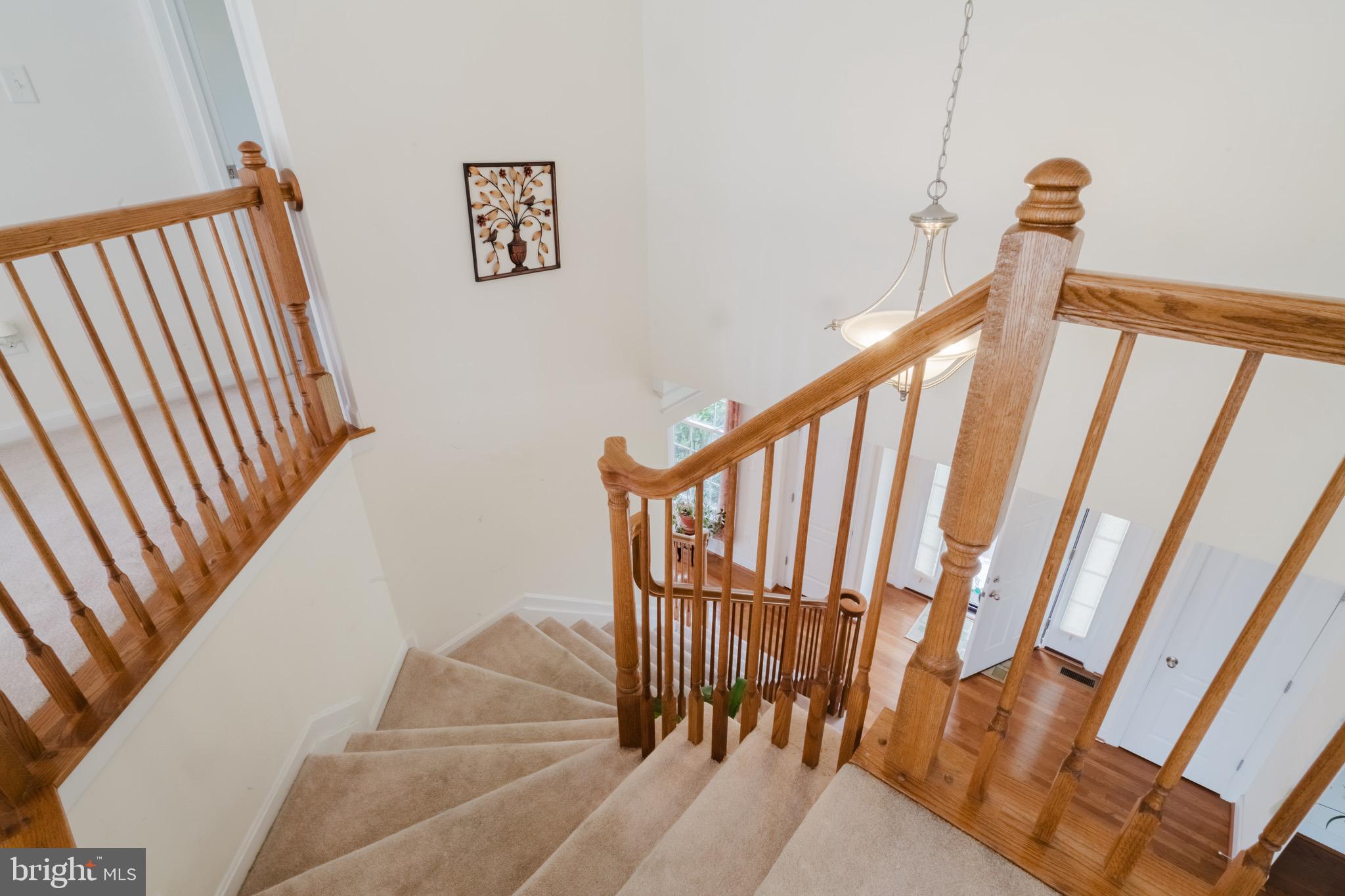 118 Asbury Loop Middletown, DE 19709 - Photo 20 of 44