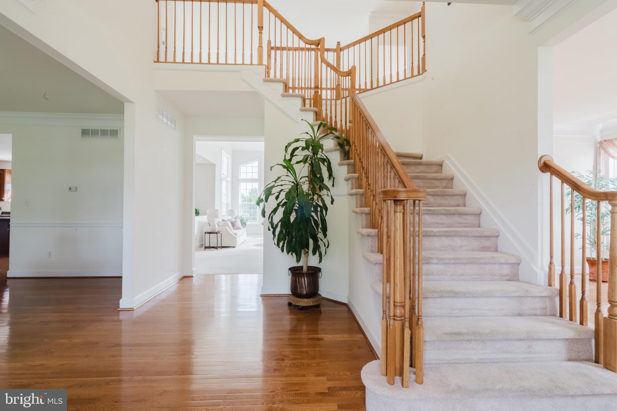 118 Asbury Loop Middletown, DE 19709 - Photo 5 of 44