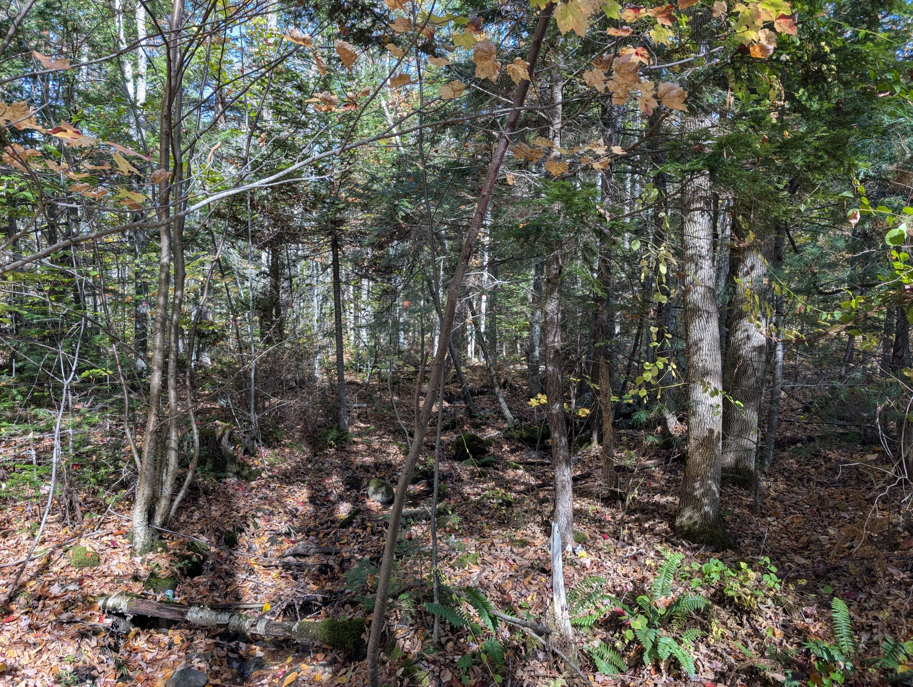 0 Gibbs Mill Road Livermore, ME 04253 - Photo 32 of 38 PXL_20251010_174343430