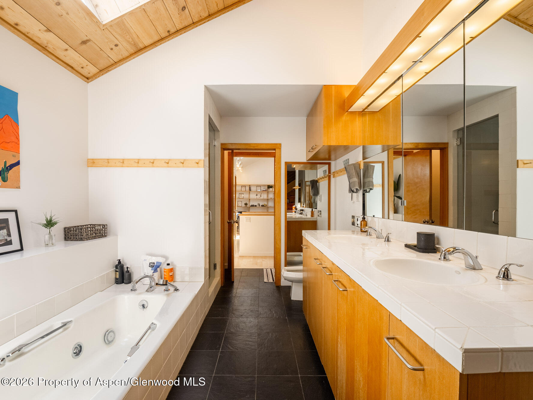 216 East Homestead Drive Basalt, CO 81621 - Photo 15 of 58 MLS - 216 E Homestead Drive - Basalt, CO