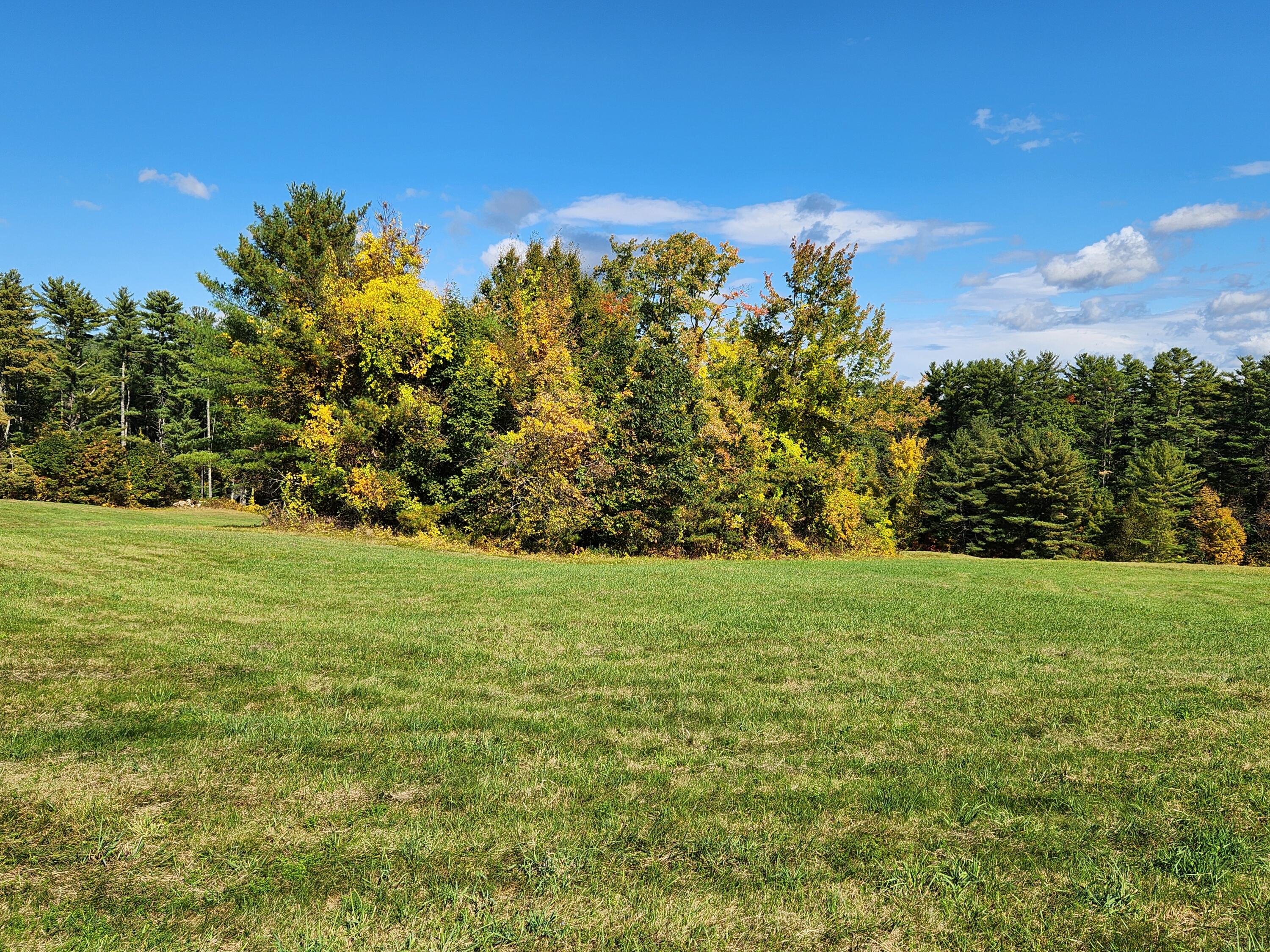 Lot 12 Bear Pond Road Waterford, ME 04088 - Photo 21 of 71 Big lower field tree island