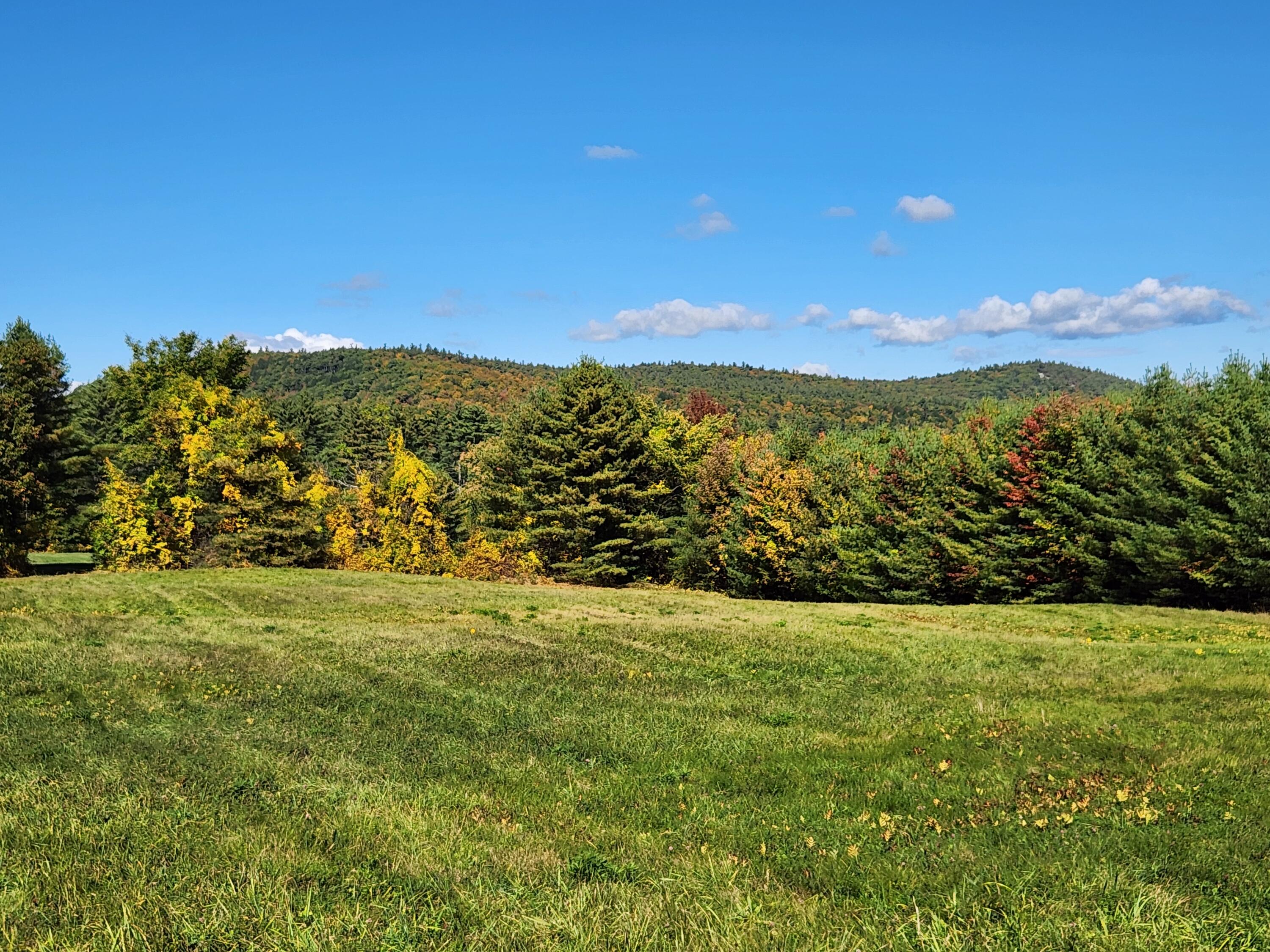 Lot 12 Bear Pond Road Waterford, ME 04088 - Photo 32 of 71 view across upper field