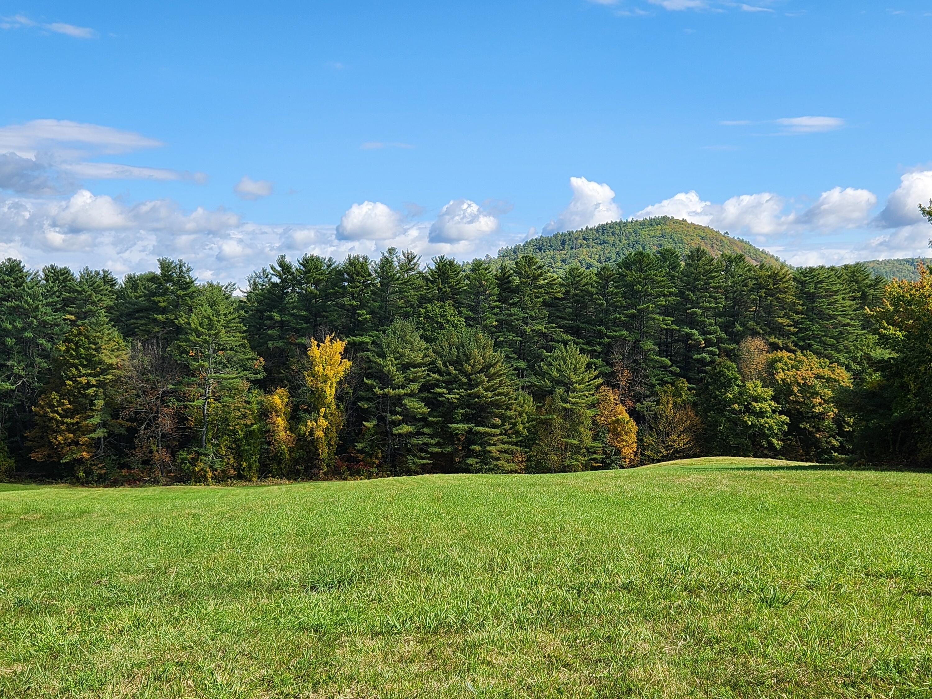 Lot 12 Bear Pond Road Waterford, ME 04088 - Photo 37 of 71 Lower big field