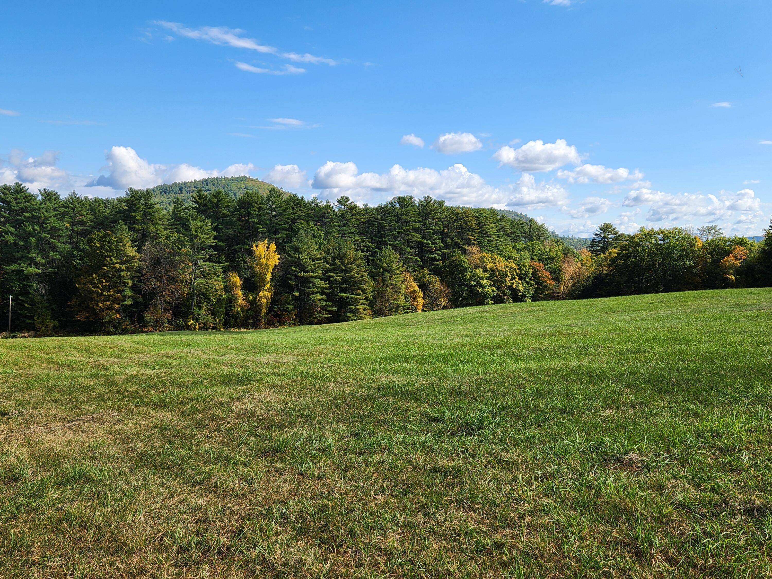 Lot 12 Bear Pond Road Waterford, ME 04088 - Photo 44 of 71 lower big field to roadside