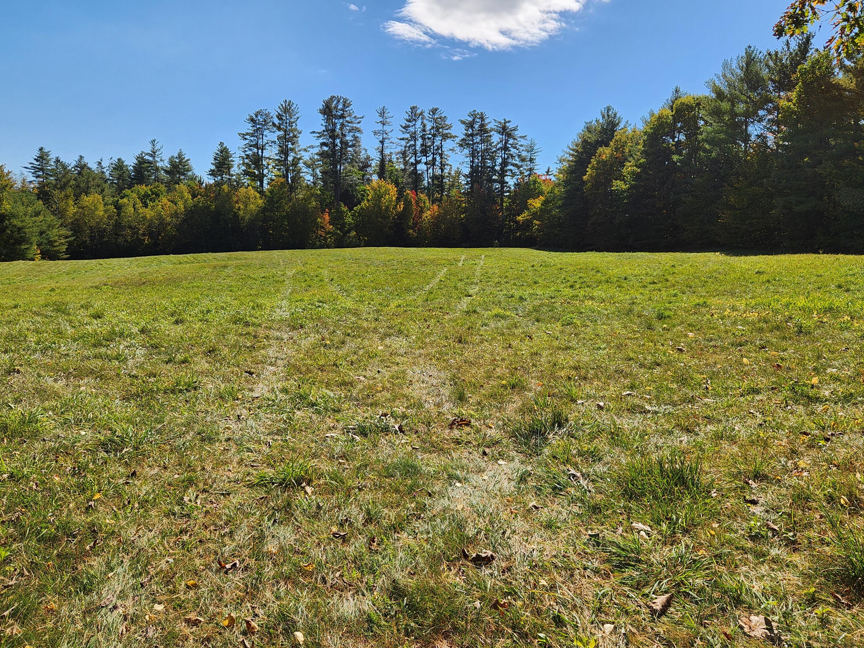 Lot 12 Bear Pond Road Waterford, ME 04088 - Photo 48 of 71 upper field to backland