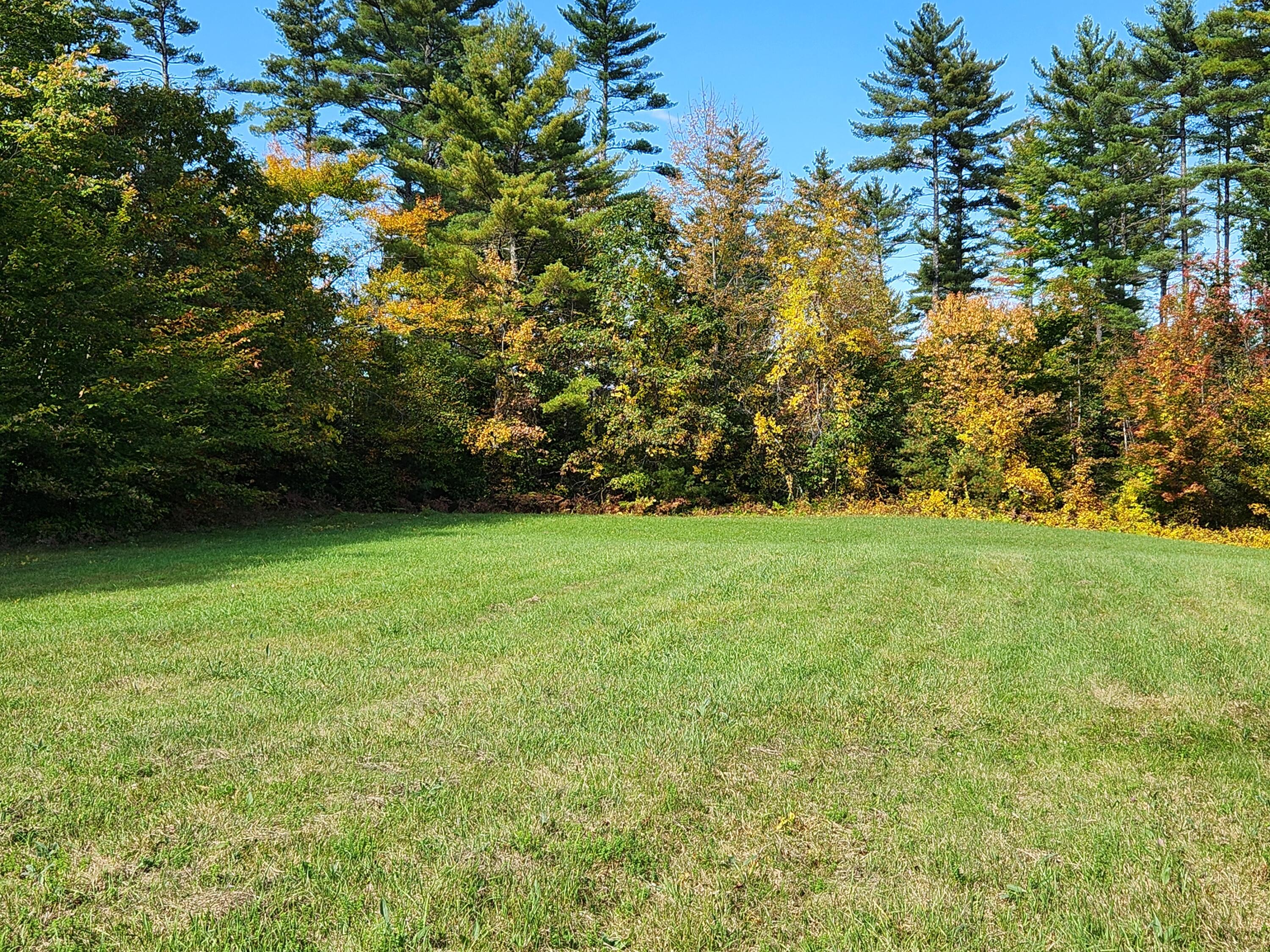 Lot 12 Bear Pond Road Waterford, ME 04088 - Photo 49 of 71 small field corner