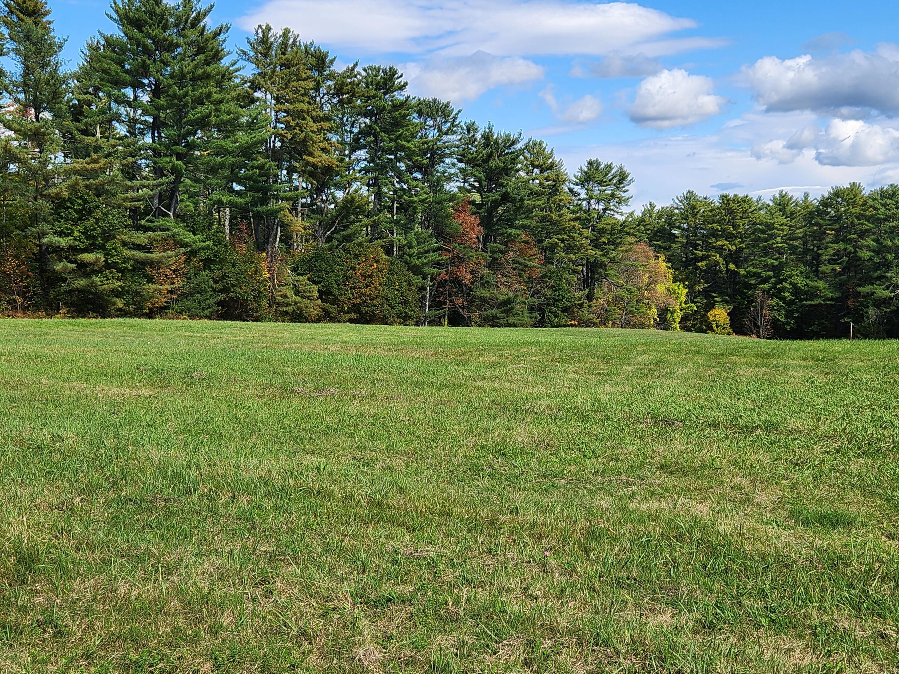 Lot 12 Bear Pond Road Waterford, ME 04088 - Photo 50 of 71 upper field