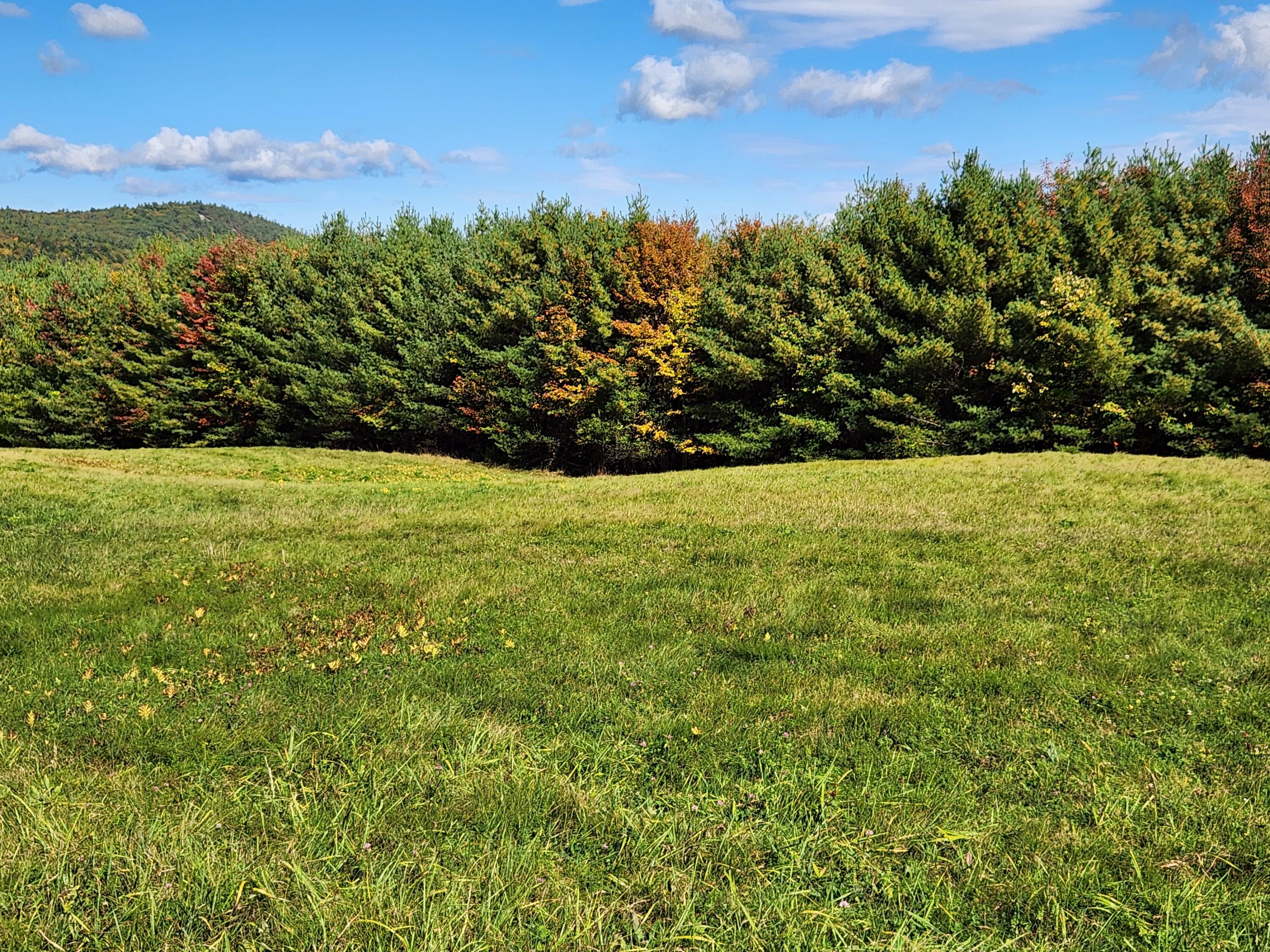 Lot 12 Bear Pond Road Waterford, ME 04088 - Photo 56 of 71 small field treeline