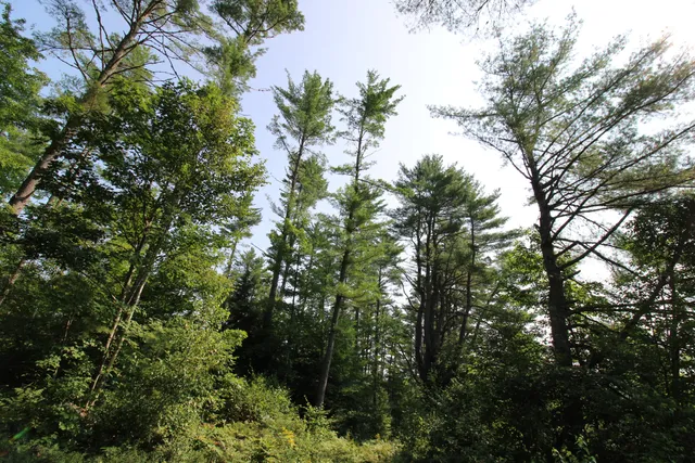 $399,900 | Lot 12 Bear Pond Road, Waterford, ME 04088